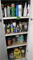 Loose Contents Of Cabinet - Chemicals