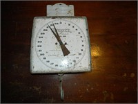 Old Hanging Scale