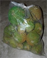 Topiary Balls - one bag full