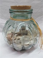 Shells lot in glass container