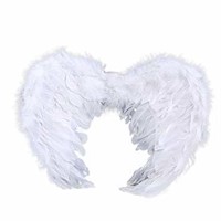 Avtion Angel Fairy Magic Wings Cosplay Costume