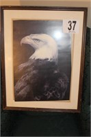 Eagle Print, Framed