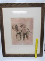 Framed Print of Elephant