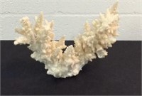 Large Vintage Coral Specimen K16A