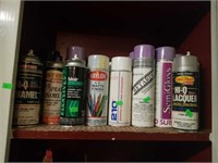 Entire Contents of Spray Finish, Polish, and More