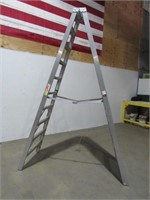 9' Step Ladder-