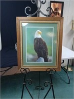 Beautiful Bald eagle print apprix 21 x 24 inches