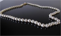 16" Strand of Mikimoto 5.5mm Cultured Pearls