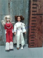 Princess Leia, fashion doll, pair