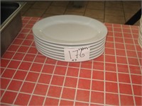 Lot of 7 10"x12"Plates