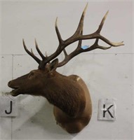 Elk Mount