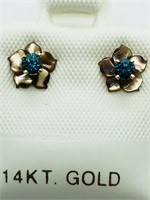 28C- 14k blue diamond 0.16ct earrings $400