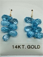 12C- 14k blue topaz 20.0ct earrings $800