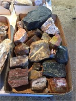 Petrified Wood & Other Assorted Minerals