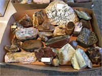 Assorted Petrified Wood & Other Assorted Minerals