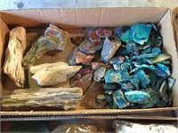 Petrified Wood & Other Assorted Slabs