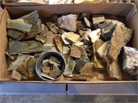 Leaf Fossils & Unknown Slabs