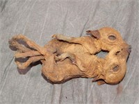 Mummified Siamese Piglets