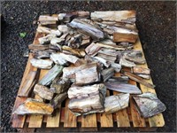Assortment of Petrified Wood