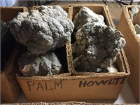 Palm & Howlite