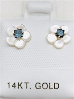$500 14K Blue Diamond Earrings