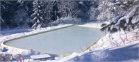 Backyard Ice Rink Nicerink (28’x 60’)