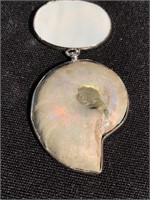 Ammonite pendant on a heavy silver chain with lots