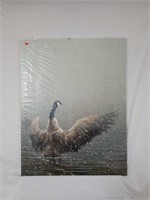 Signed Robert Bateman canada Goose Print on Canvas