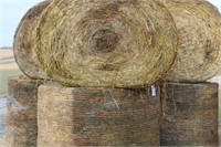Hay-Wrapped-Oats-Rounds-5 Bales