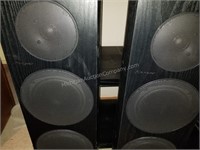 Pioneer Speakers with Monitor and Shelving Units