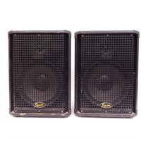 Squier Speakers - 2