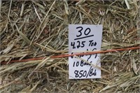 Hay-Grass-Lg. Squares-10 Bales