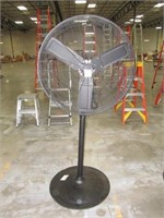 Pedestal Fan