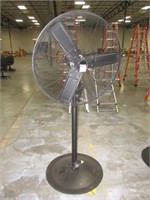 Pedestal Fan