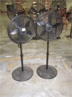 Pedestal Fan