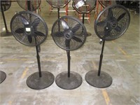 Pedestal Fan