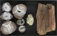 Petrified Wood And Geode Specimens