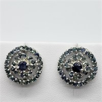 $300 S/Sil Sapphire Earrings