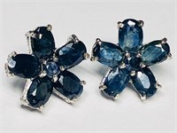 $695. S/Silver Blue Sapphire(4.36ct) Earrings