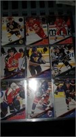 Binder of 1993 leaf hockey cards