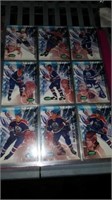 Binder of parhurst 1995 hockey cards