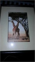 8x10 giraffe art piece