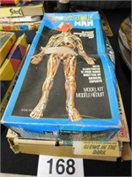 Human skeleton assembly kit - Revell invisible