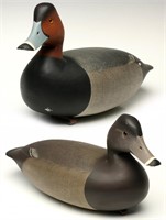 CANVASBACK DRAKE AND HEN SIGNED FREDERICK BROWN