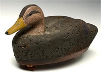 A CORK BODY BLACK DUCK HEN DECOY, COLUMBIA, PENN.