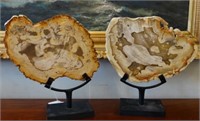 Pair of Carved Slices of Petrified Wood