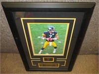 BEN ROETHLISBERGER STEELERS WALL DCOR