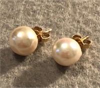 14K Yellow Gold Pearl Stud Earrings