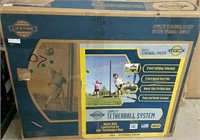 Lifetime Tetherball System $89 Retail