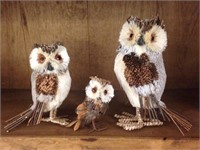 Adorable Owl Family